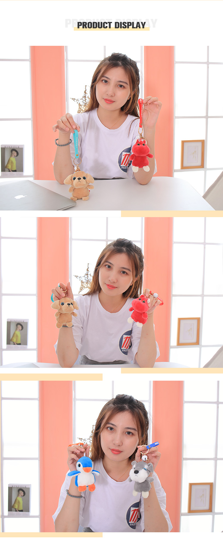 Product Presentation 1