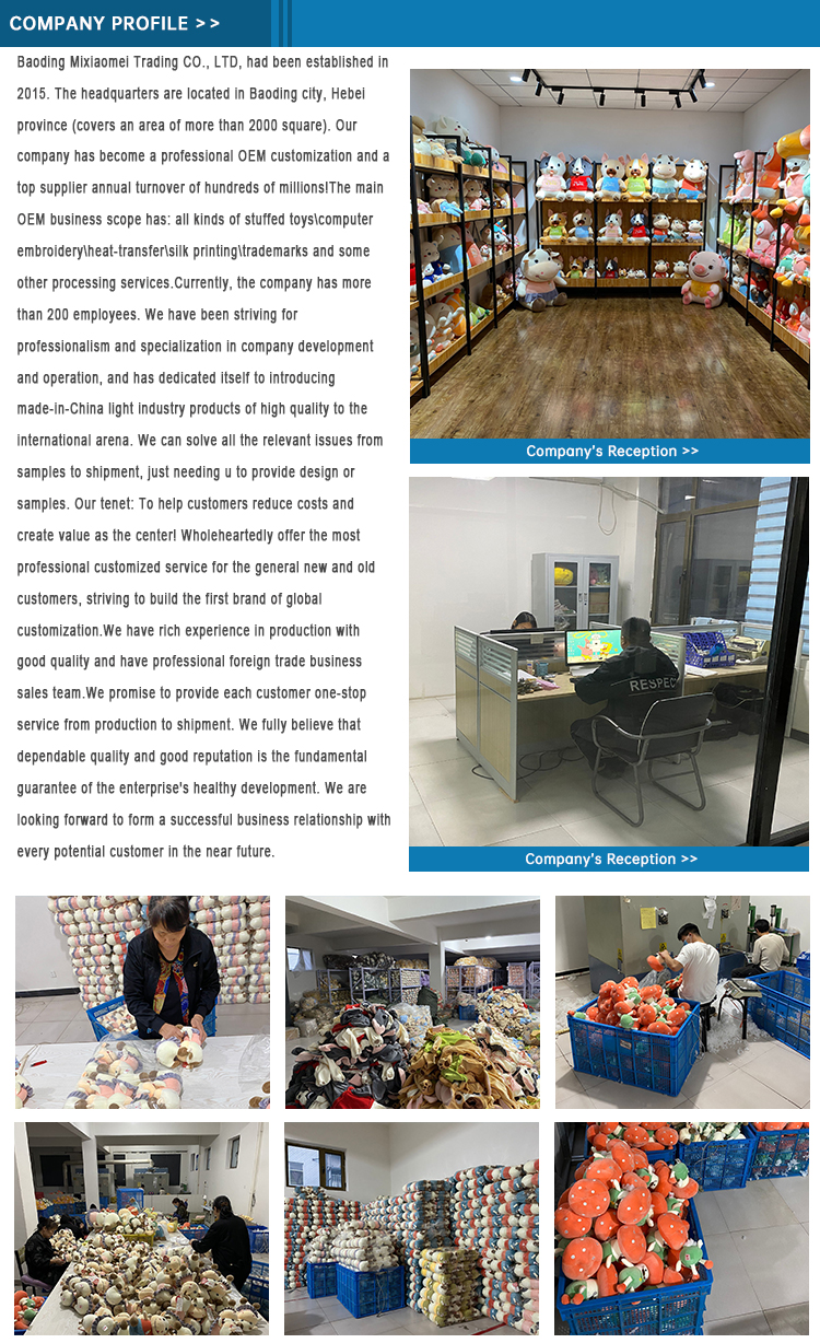 Company Profile Details
