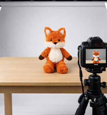 Take photos for the client