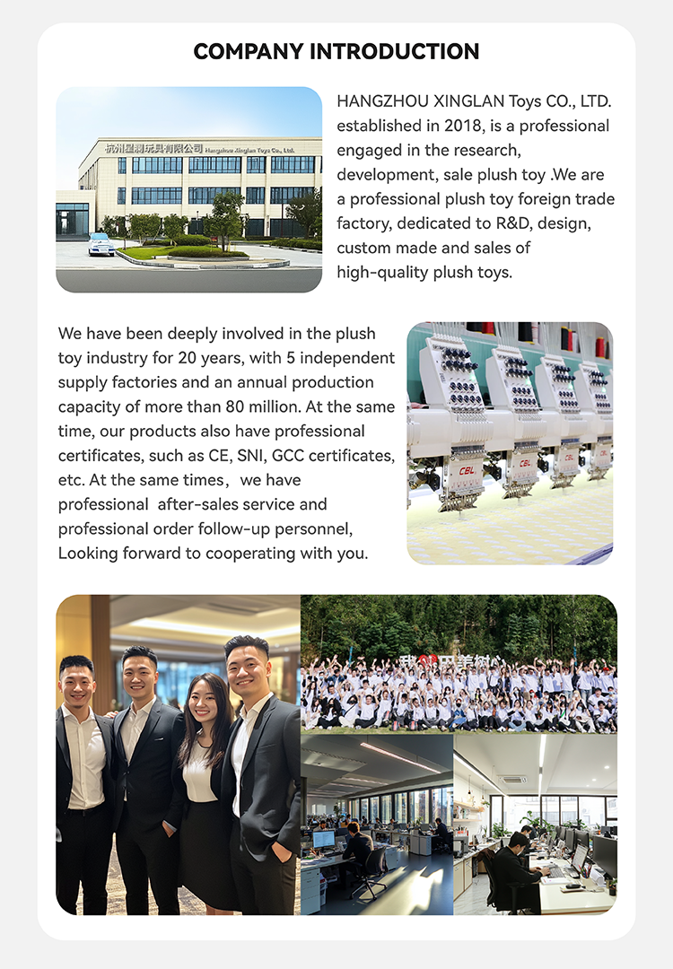 Company Profile Overview