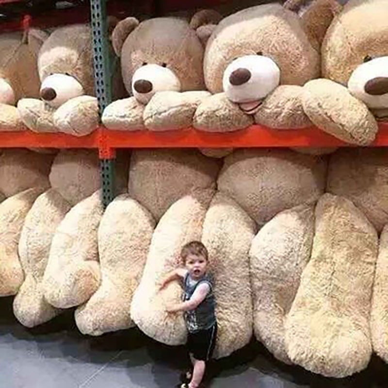 Teddy Bear Showcase 5