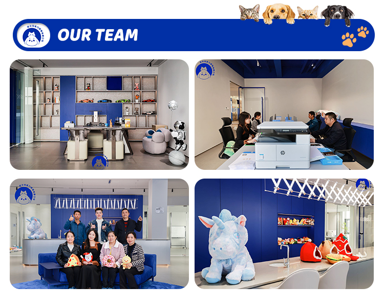 Company Workshop Overview