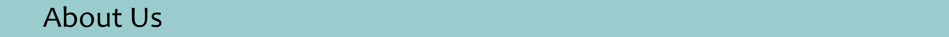 Product specifications banner