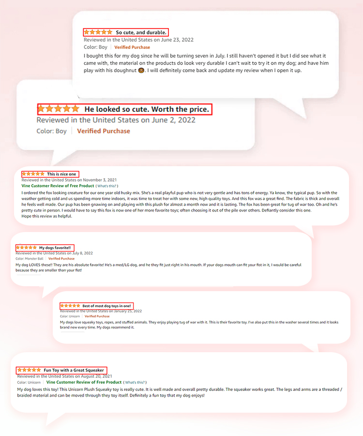 Customer Reviews