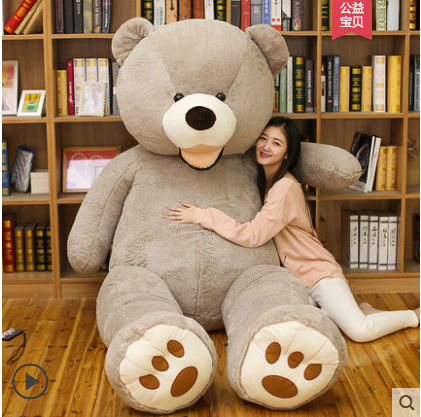 Teddy Bear Showcase 2