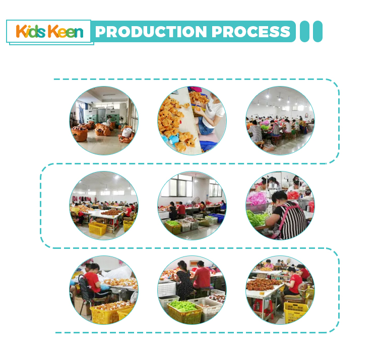 Production Process Details