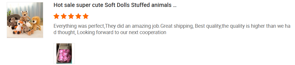 Product Feature