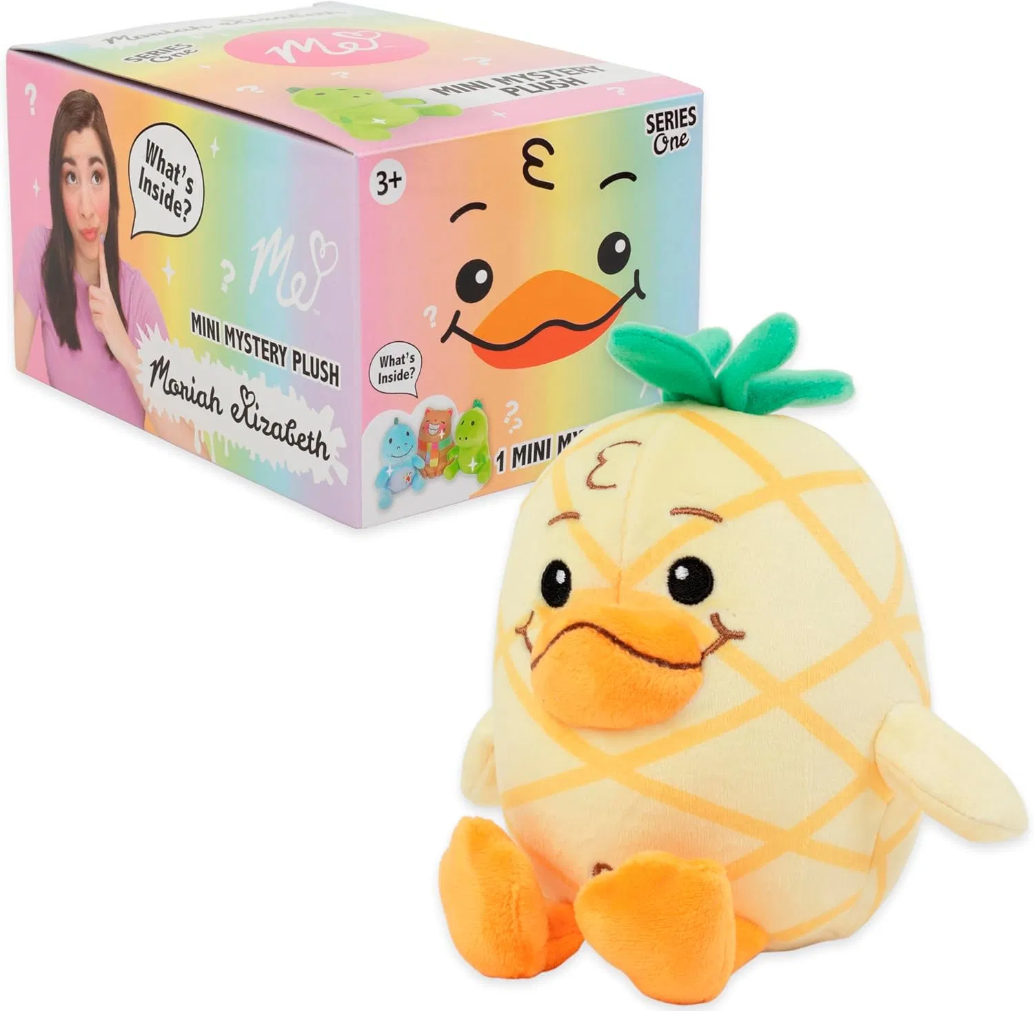Mystery Plush Blind Box Collectible Toy Custom OEM Merchandise Wholesale Gift Series