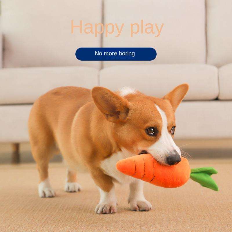 Carrot Pet Toy Highlights