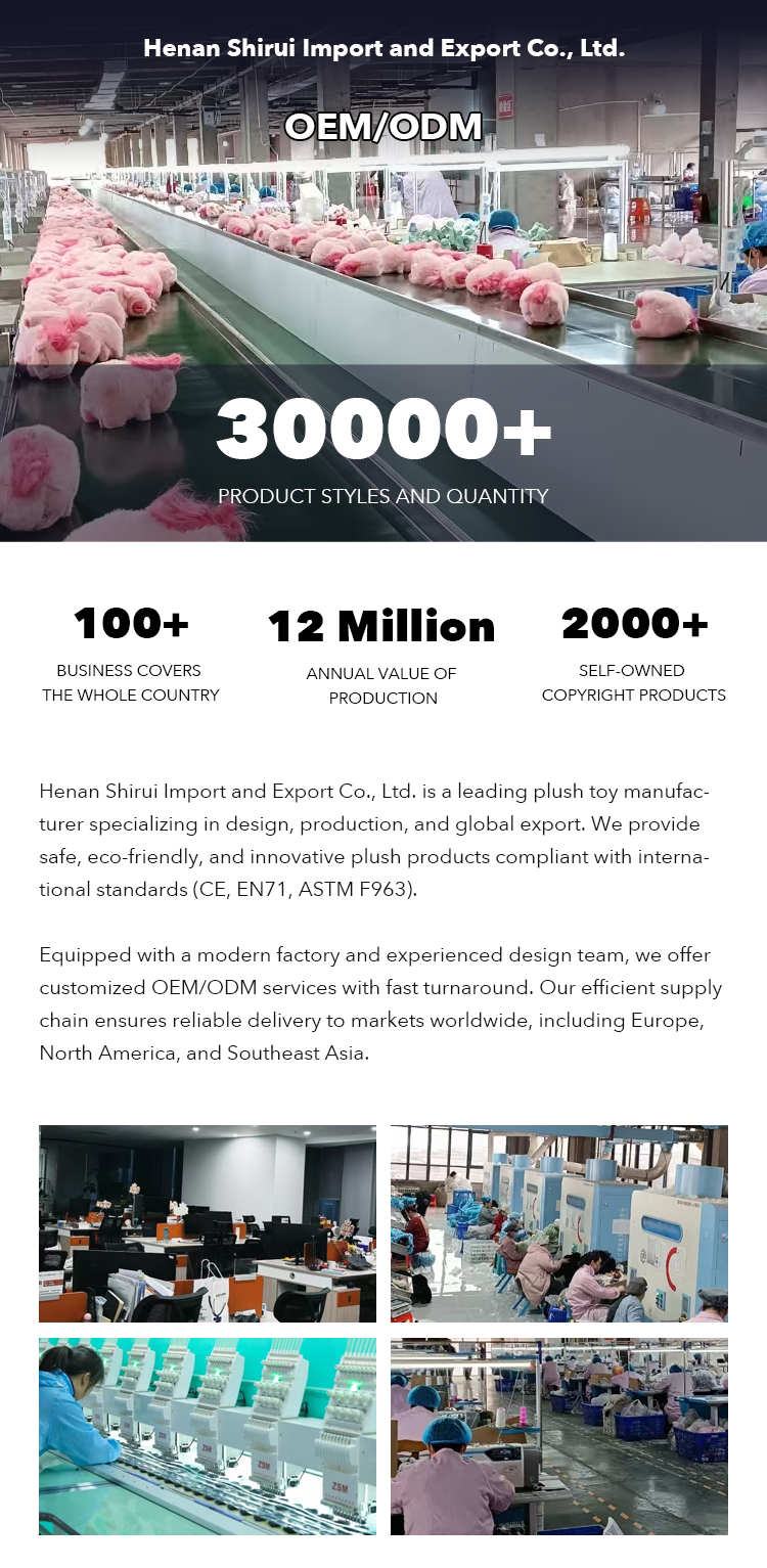 Company Information