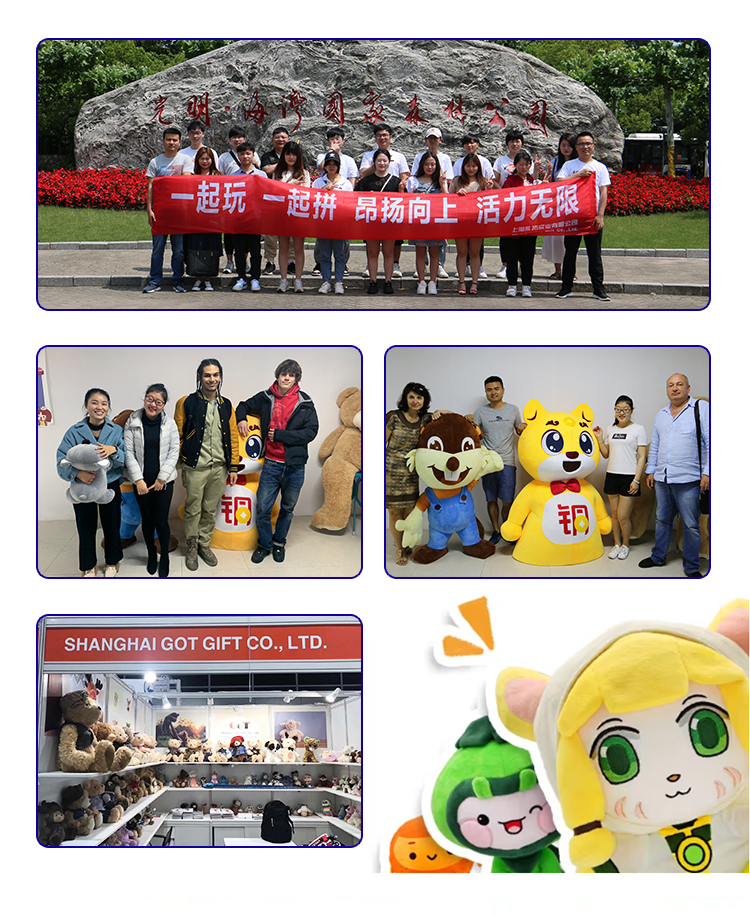 Our Team