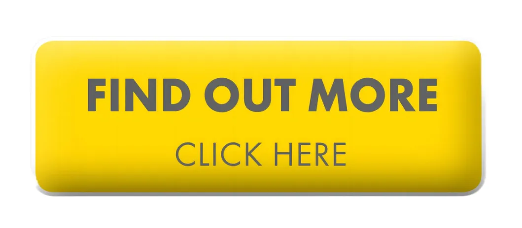 Explore Plush Toys Catalog