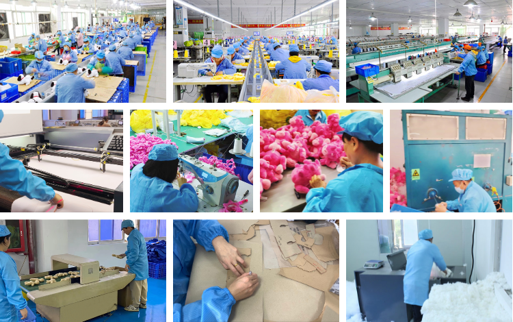 Factory Workshop and Production Line Display