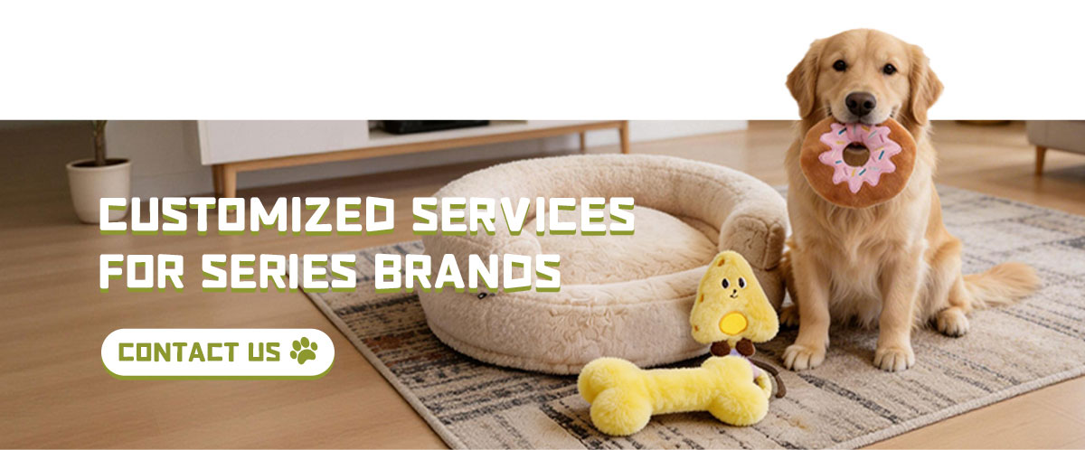 Dog Toy Detail Showcase 2