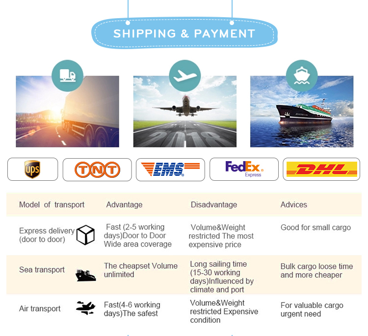 Shipping And Payment Options