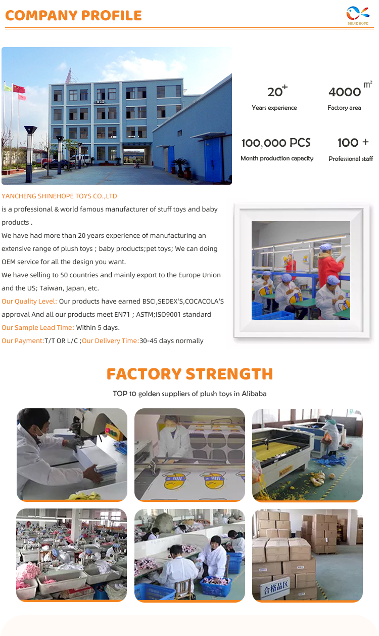 Additional Product View 1