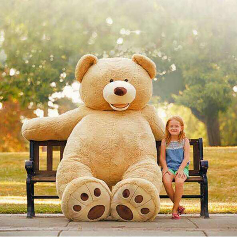 Teddy Bear Showcase 1