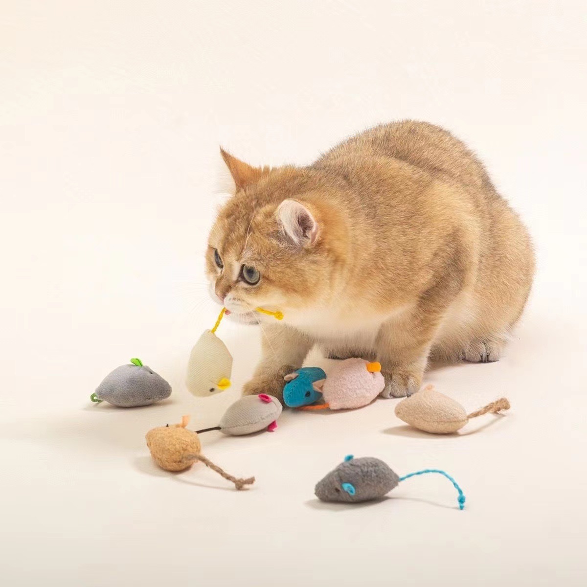 Modern Eco-friendly Interactive Cat Toys Self-Hi Cloth Mouse Simulation Plush Bite Resistant Pet Supplies Containing Catnip