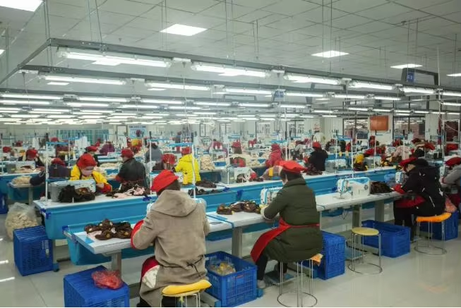 Sewing Line