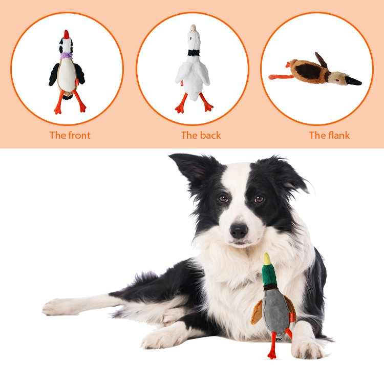 Product Feature 1