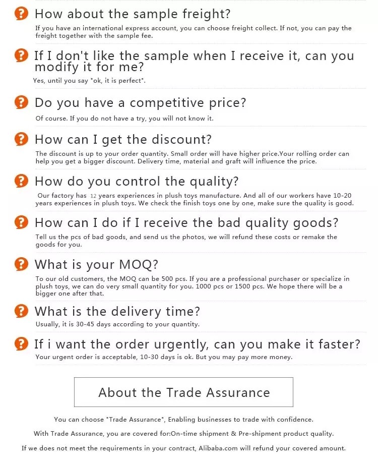 FAQ Details 2
