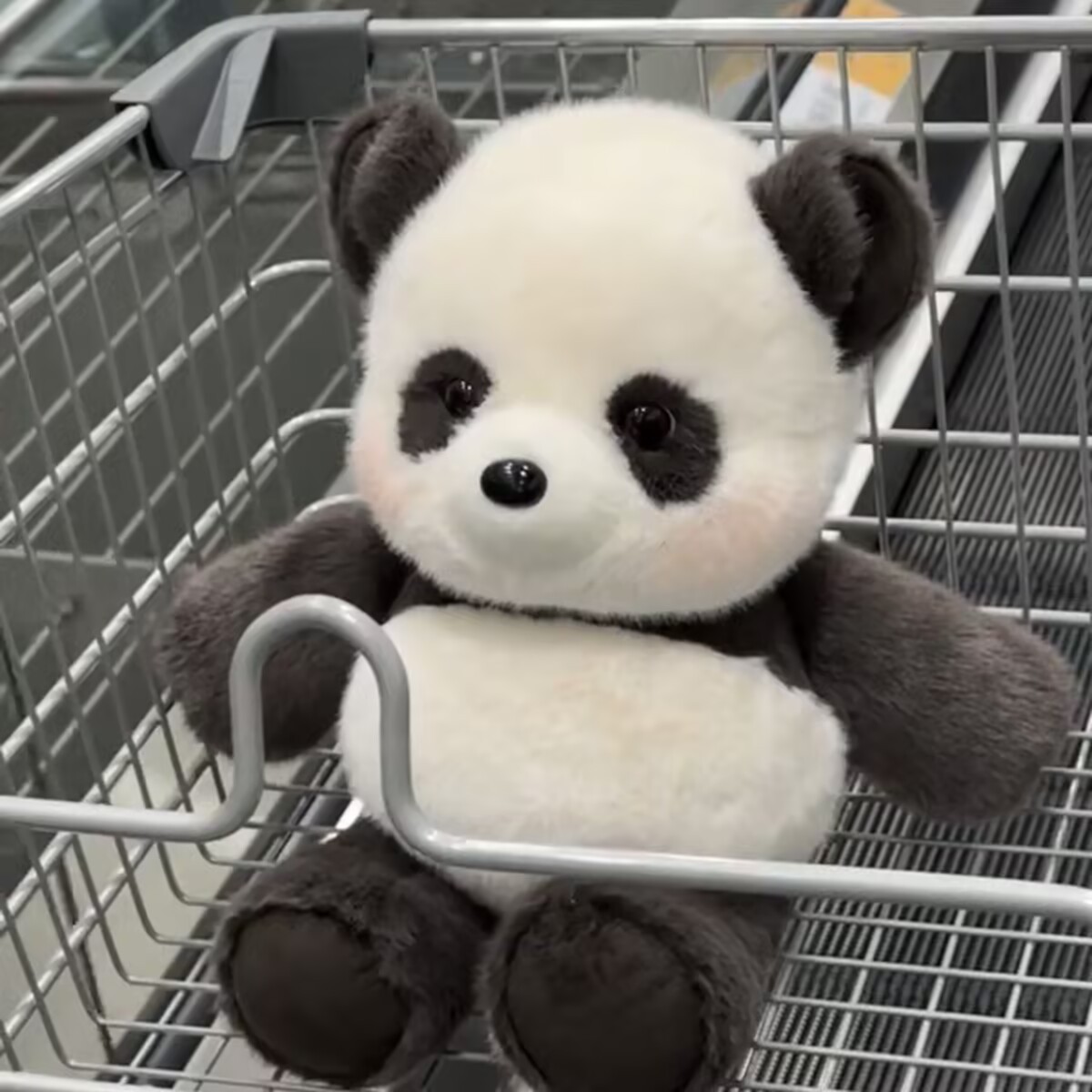 Cute Colorful Run Panda Plush Toys Soft Stuffed Animal Doll for Kids and Home Decor