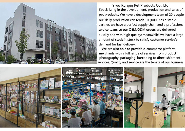 Company Profile 1