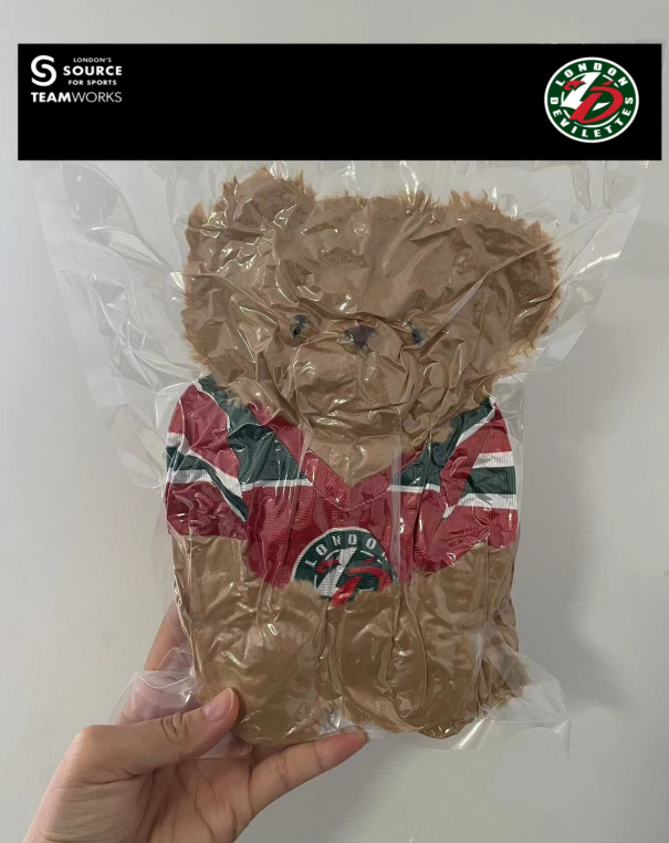 Teddy Bear packaging style 2
