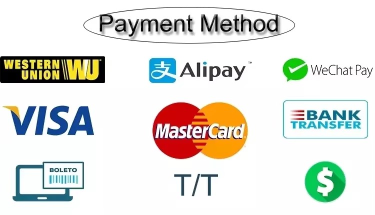 Our Services