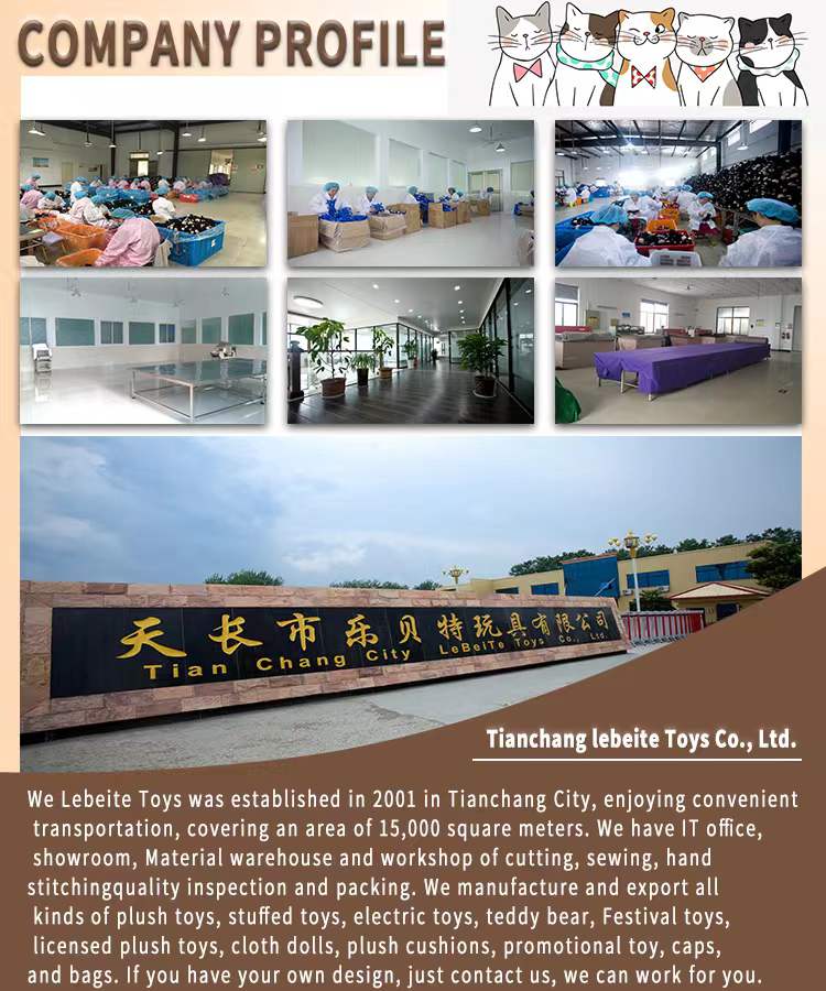 Company overview