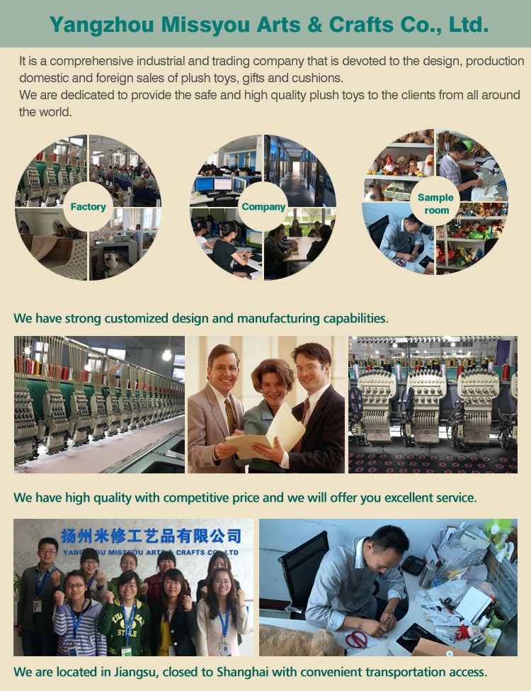 Company Overview 1