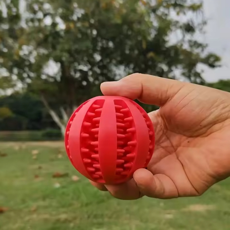 Pet Toy Usability
