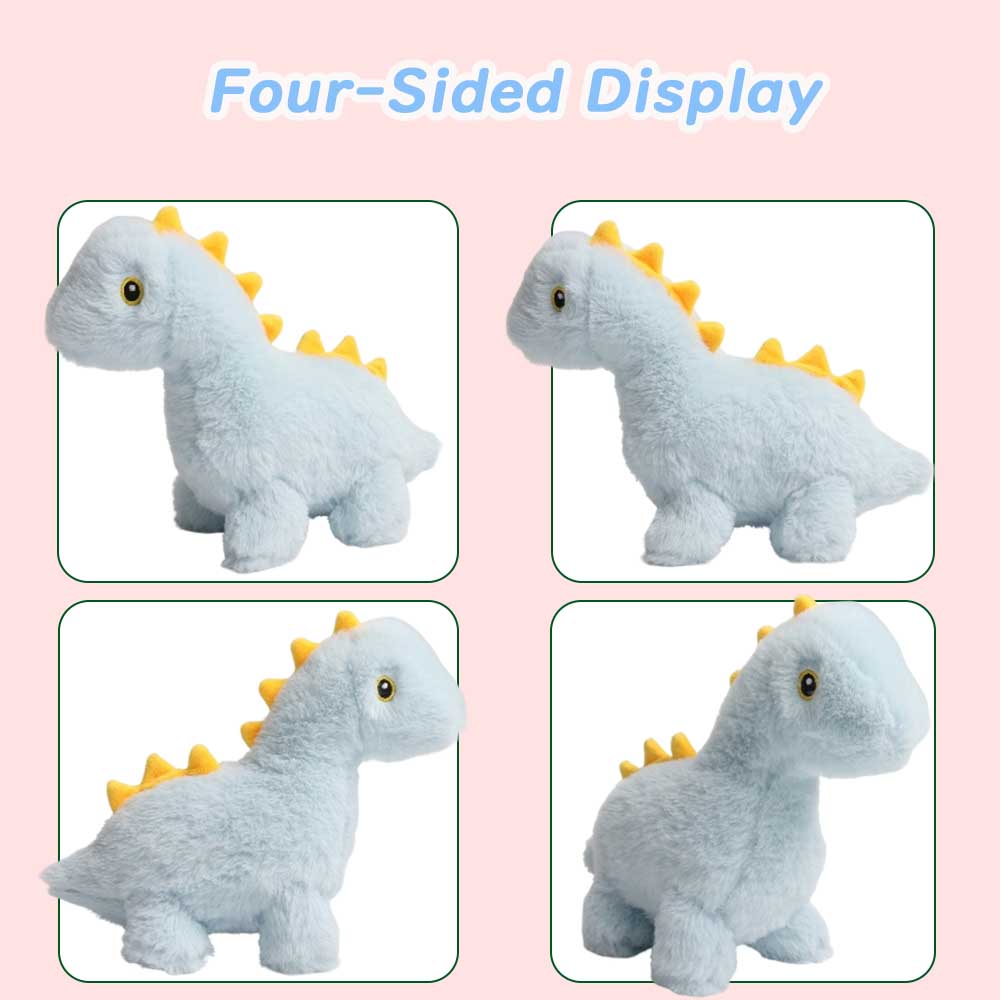 Four Views