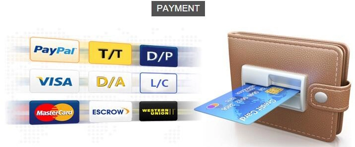 Payment