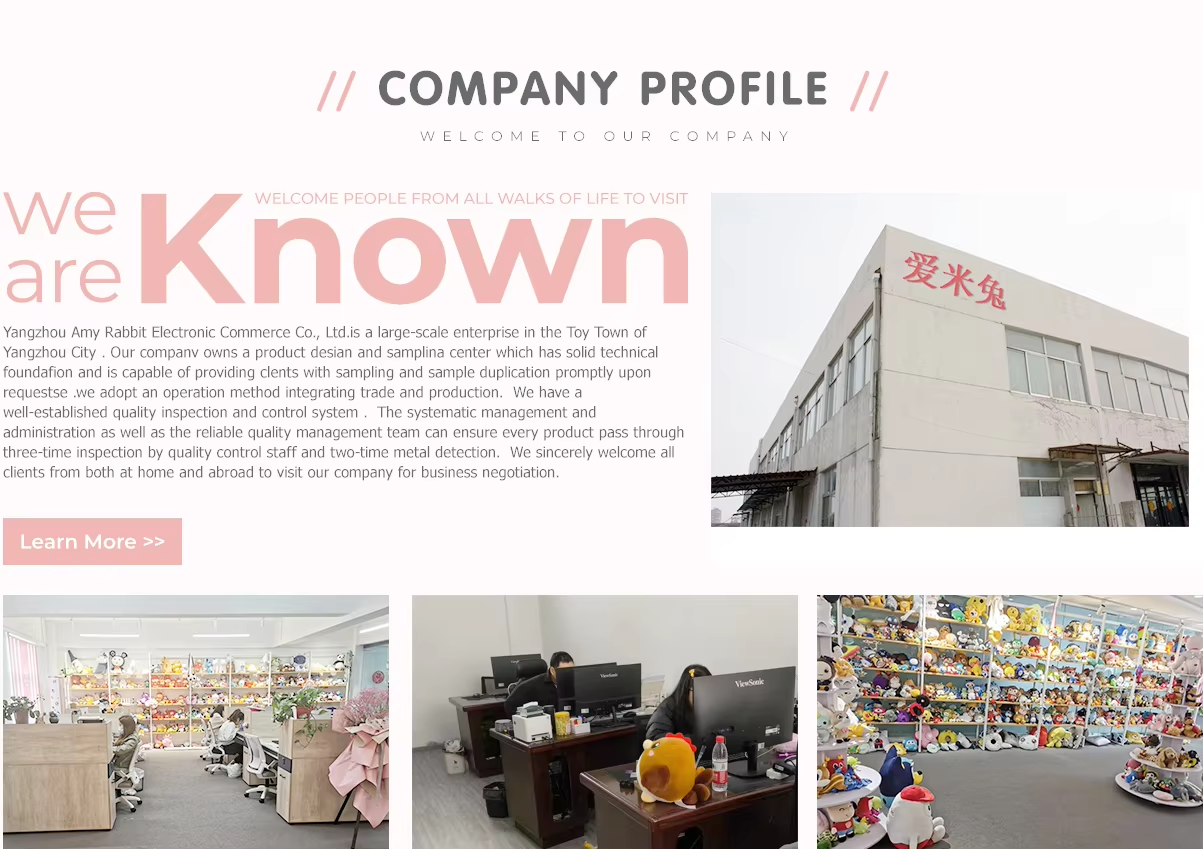 Company Introduction