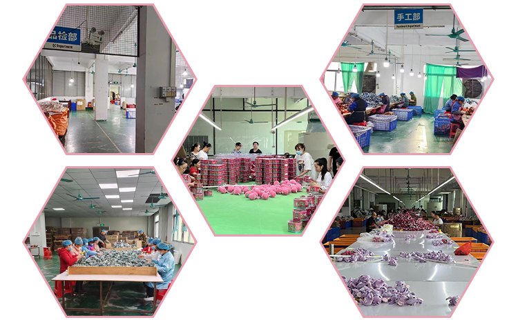 Facility Standard D