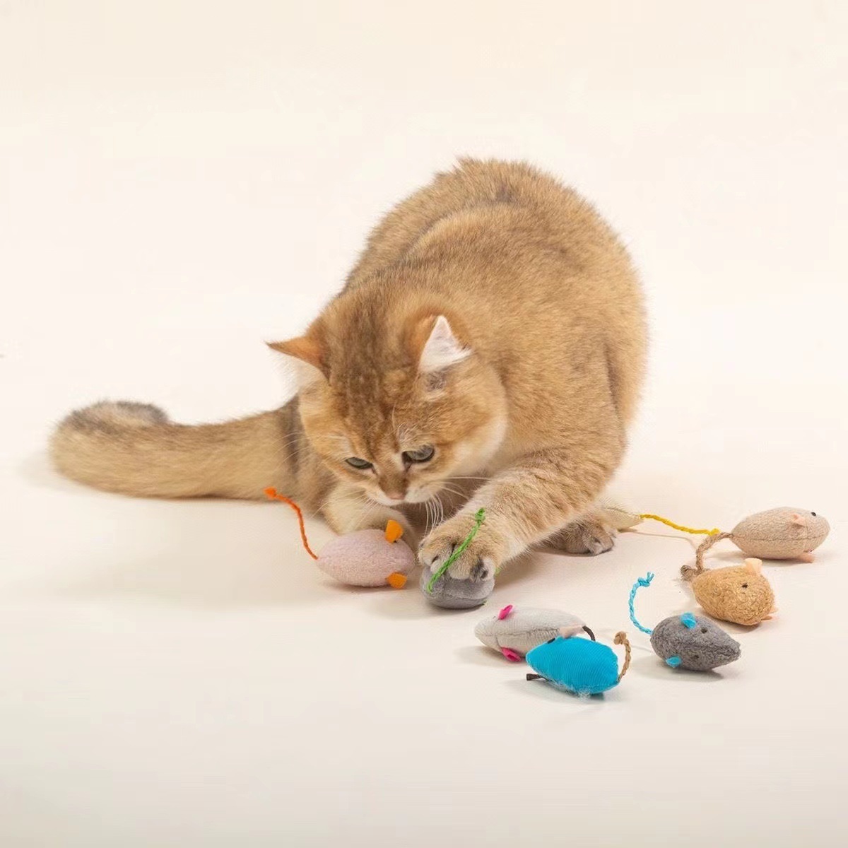 Modern Eco-friendly Interactive Cat Toys Self-Hi Cloth Mouse Simulation Plush Bite Resistant Pet Supplies Containing Catnip