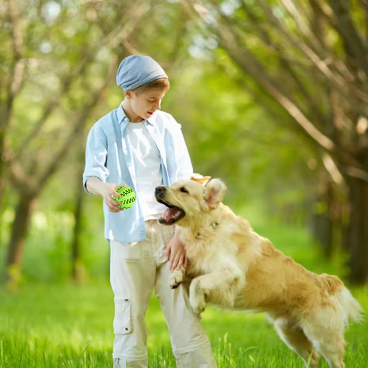 Pet Chew Toy Details 9