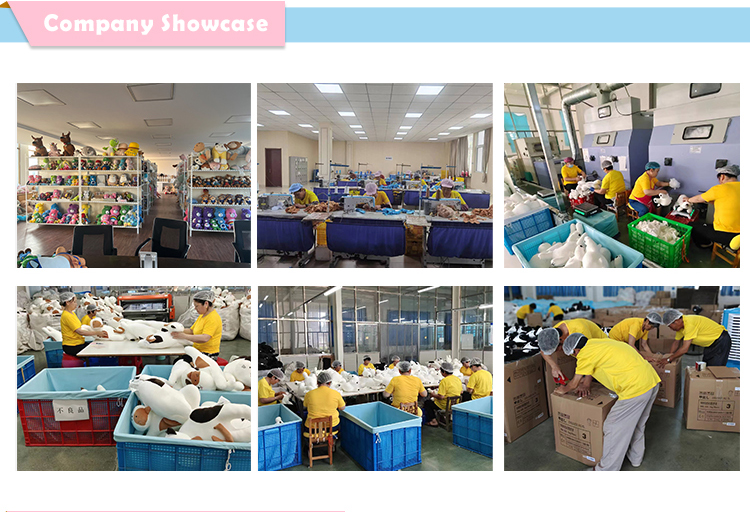 Teddy Bear Showcase 13