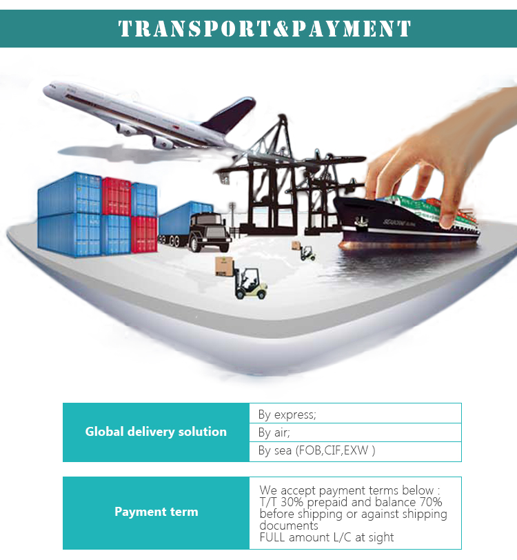 Transport and Payment Options