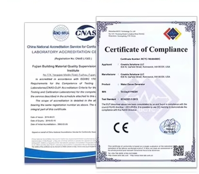 Certificate 1