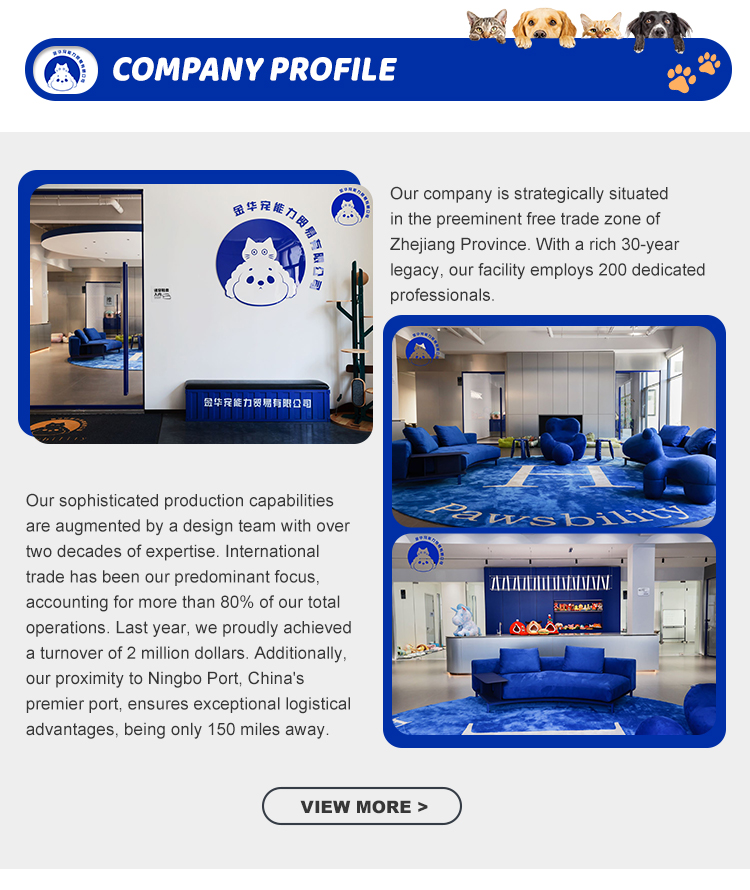 Company Introduction