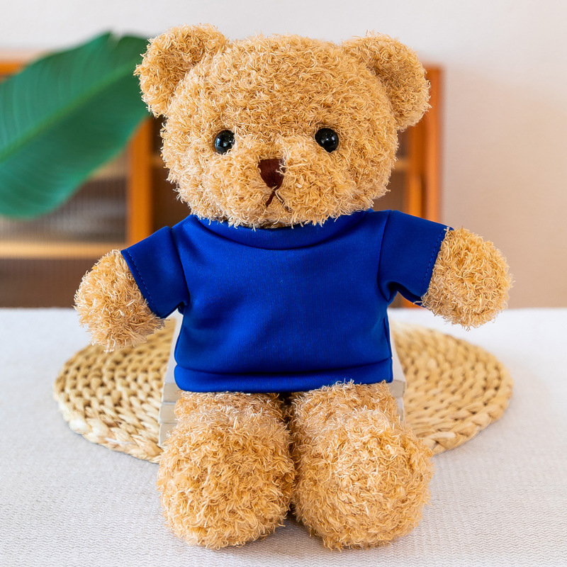 Customizable Cute Dress Teddy Bear Plush Toys Organic Cotton Bear Doll Gifts with Logo Printing for Perfect Promotions