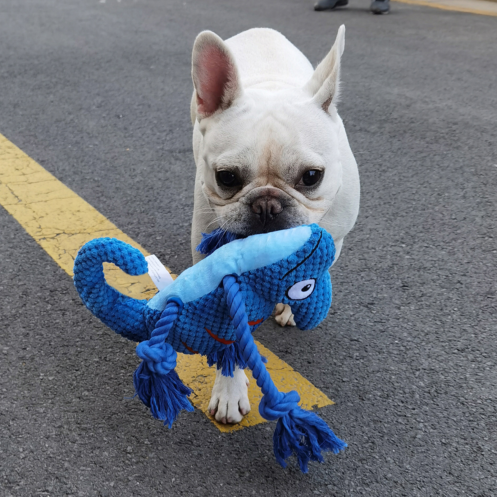 Interactive Plush Chameleon Dog Toy with Squeaker, Durable Pull-and-Tug Chew Toy for Dogs