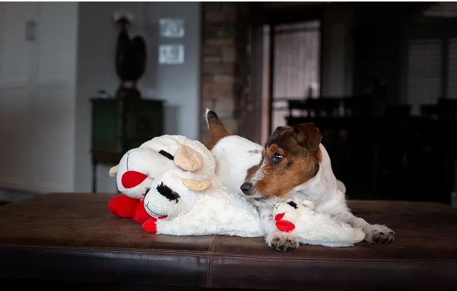 Lamb Chop Dog Toy Showcase 1