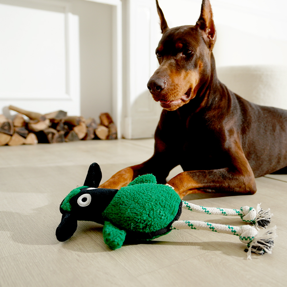 Green Sheep Suede Lamb Dog Rope Plush Toy Chew Eco-Friendly Unique Dog Squeaky Toys