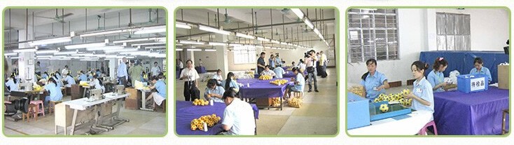 Company Banner