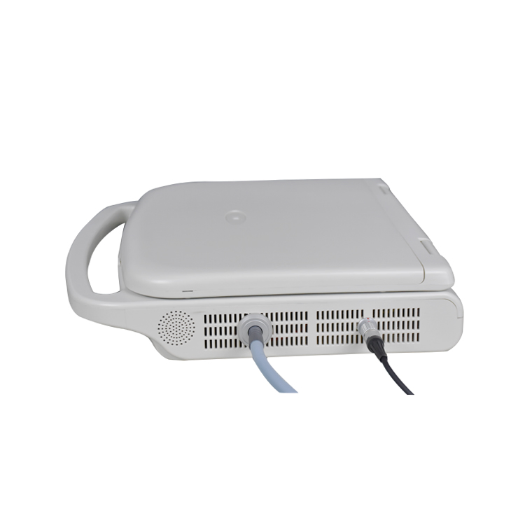 Advanced Endoscopic Imaging System for Medical Diagnostics Solutions