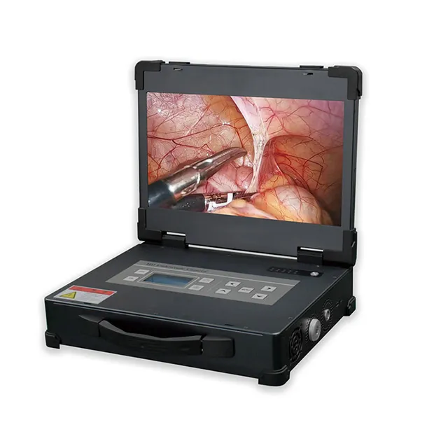 Endoscopic System Display