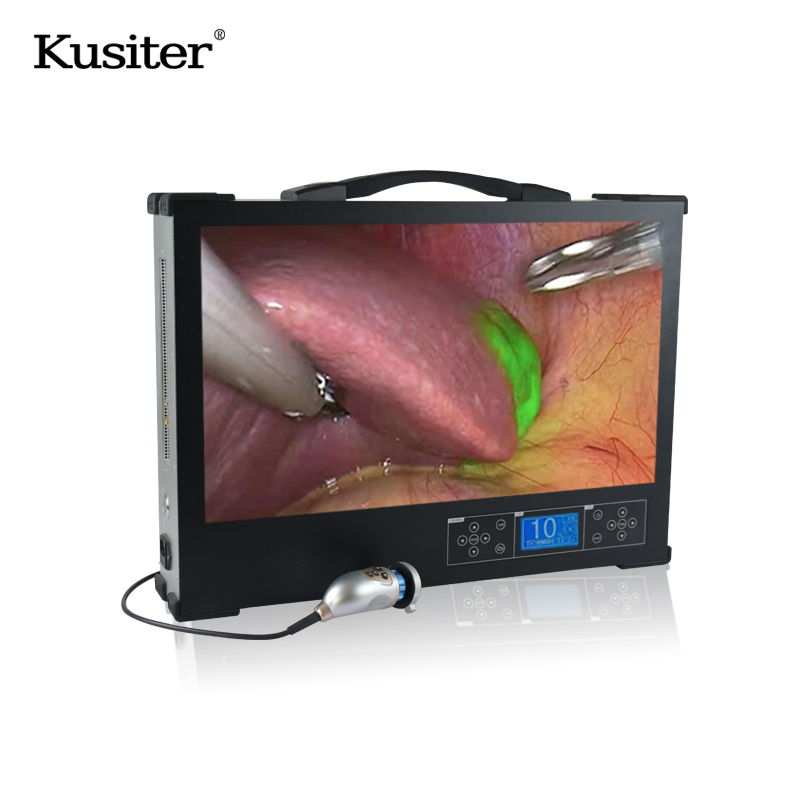 Customizable Portable Endoscope System with Light Source